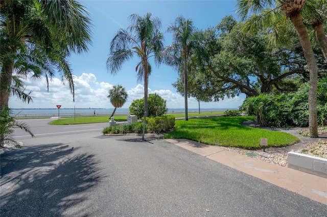 3325 Bayshore Blvd Unit A17, Tampa, FL 33629 - view of road
