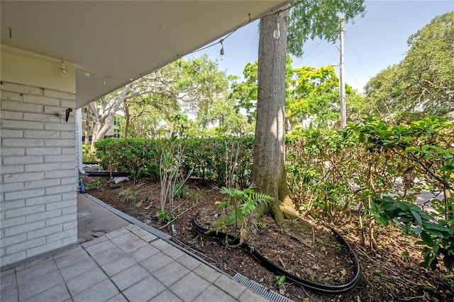 3325 Bayshore Blvd Unit A17, Tampa, FL 33629 - view of patio / terrace