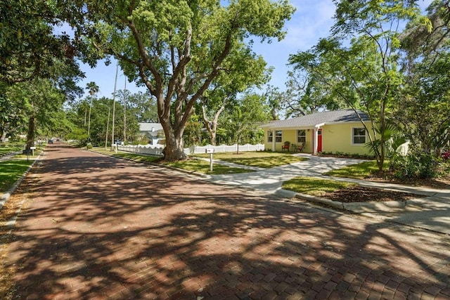 617 Scotland St, Dunedin, FL 34698 - photo 58
