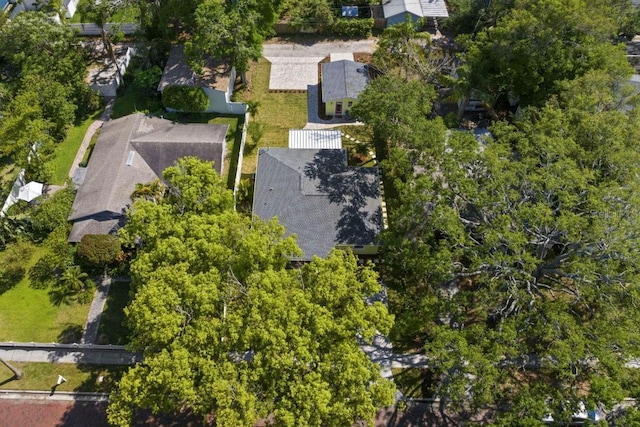 617 Scotland St, Dunedin, FL 34698 - photo 62