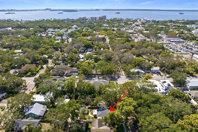 617 Scotland St, Dunedin, FL 34698 - photo 64