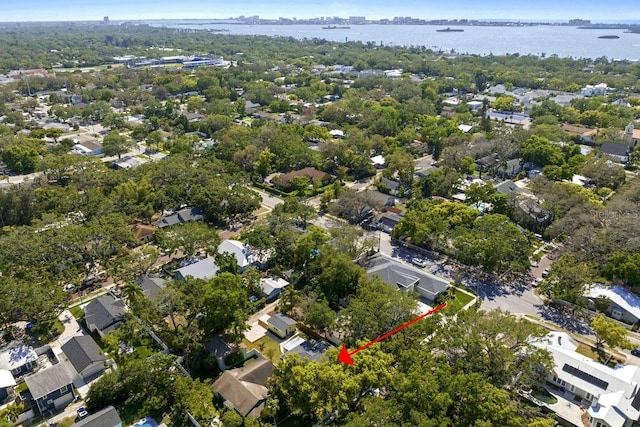 617 Scotland St, Dunedin, FL 34698 - photo 65