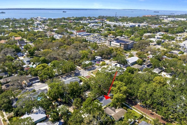 617 Scotland St, Dunedin, FL 34698 - photo 66