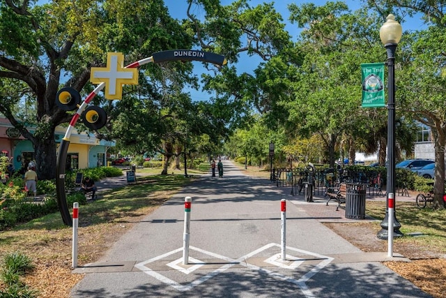 617 Scotland St, Dunedin, FL 34698 - photo 70