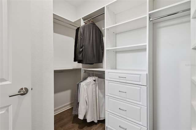 4653 Ancona Way, Wesley Chapel, FL 33543 - walk in closet featuring dark wood-style flooring