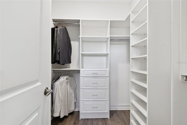 4653 Ancona Way, Wesley Chapel, FL 33543 - walk in closet featuring dark wood-style flooring