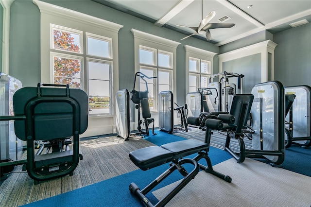 4653 Ancona Way, Wesley Chapel, FL 33543 - workout area with carpet and a ceiling fan