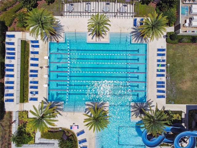4653 Ancona Way, Wesley Chapel, FL 33543 - view of pool