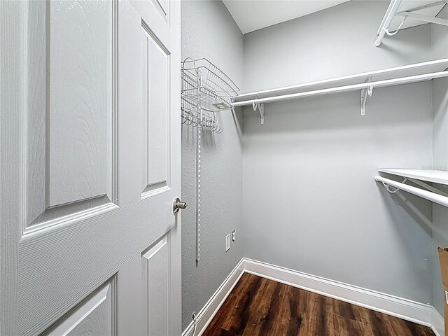5603 80th St N Unit 103, Saint Petersburg, FL 33709 - photo 35