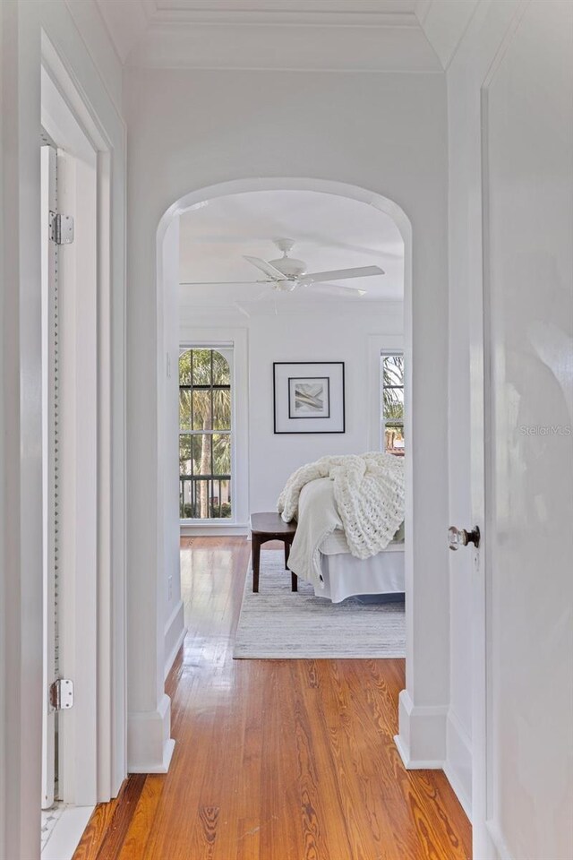 1920 Cherry St NE, Saint Petersburg, FL 33704 - photo 24