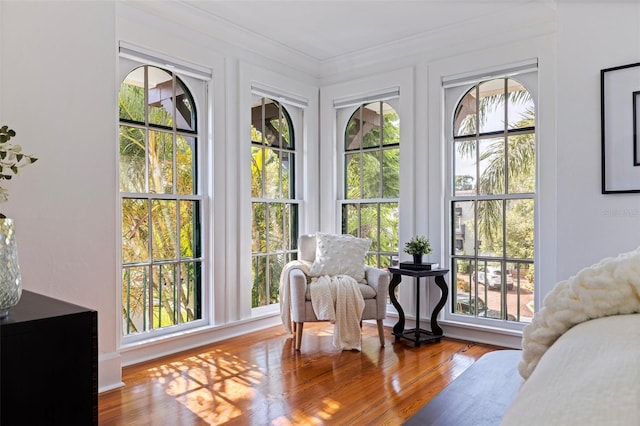 1920 Cherry St NE, Saint Petersburg, FL 33704 - photo 26