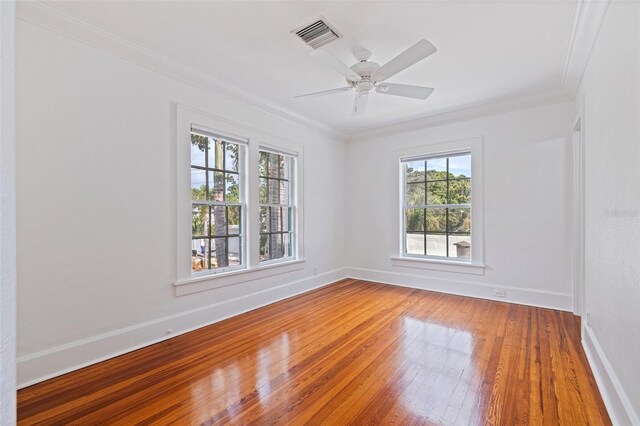 1920 Cherry St NE, Saint Petersburg, FL 33704 - photo 28