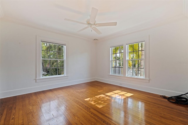1920 Cherry St NE, Saint Petersburg, FL 33704 - photo 32