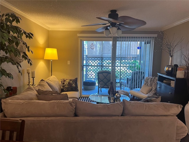2500 Winding Creek Blvd Unit B105, Clearwater, FL 33761 - living room featuring ceiling fan, ornamental molding, and a textured ceiling