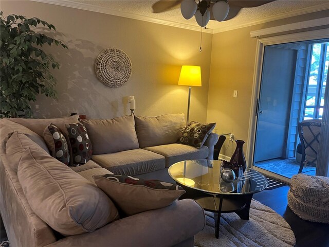 2500 Winding Creek Blvd Unit B105, Clearwater, FL 33761 - living area featuring ceiling fan and ornamental molding
