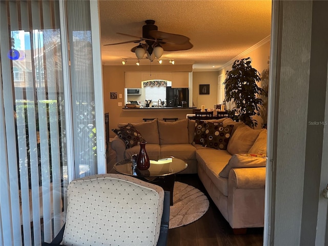 2500 Winding Creek Blvd Unit B105, Clearwater, FL 33761 - living area featuring crown molding, a ceiling fan, a textured ceiling, and wood finished floors