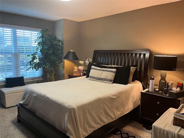 2500 Winding Creek Blvd Unit B105, Clearwater, FL 33761 - bedroom with carpet