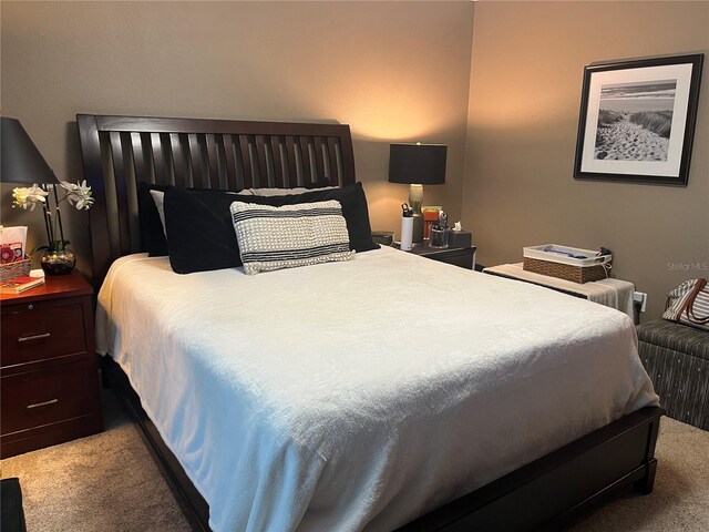 2500 Winding Creek Blvd Unit B105, Clearwater, FL 33761 - view of carpeted bedroom