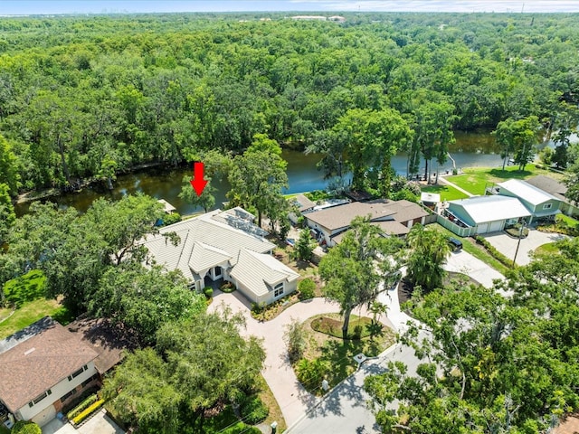 713 Argyle Pl, Temple Terrace, FL 33617 - bird's eye view of a nearby body of water