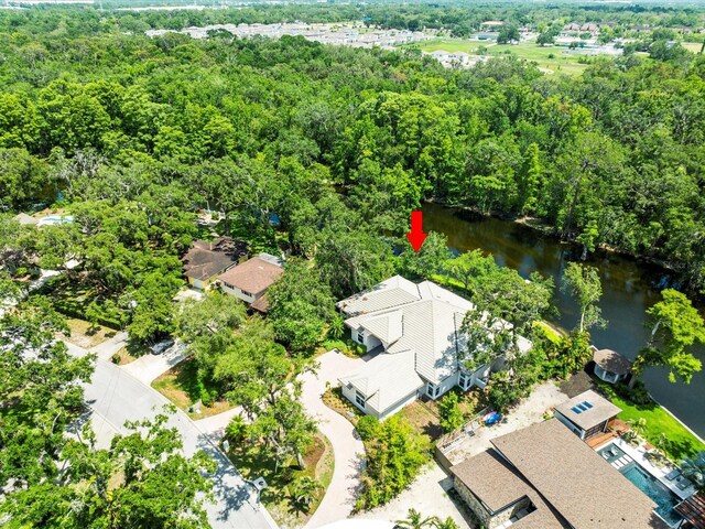 713 Argyle Pl, Temple Terrace, FL 33617 - drone / aerial view of a large body of water and a heavily wooded area