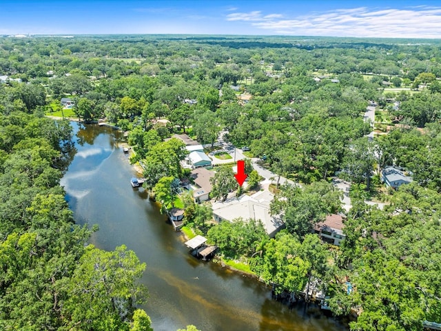 713 Argyle Pl, Temple Terrace, FL 33617 - view of property location featuring a large body of water and a forest