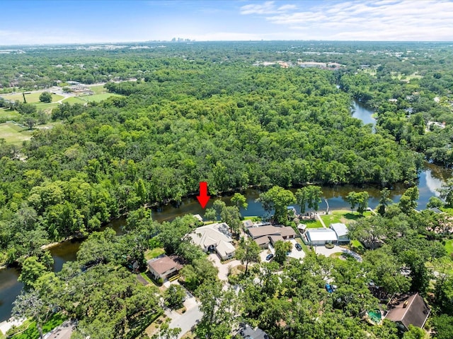 713 Argyle Pl, Temple Terrace, FL 33617 - bird's eye view of a large body of water and a forest