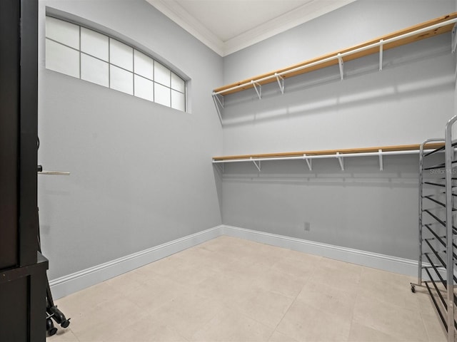 713 Argyle Pl, Temple Terrace, FL 33617 - view of walk in closet