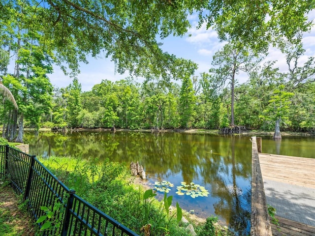 713 Argyle Pl, Temple Terrace, FL 33617 - water view with a forest
