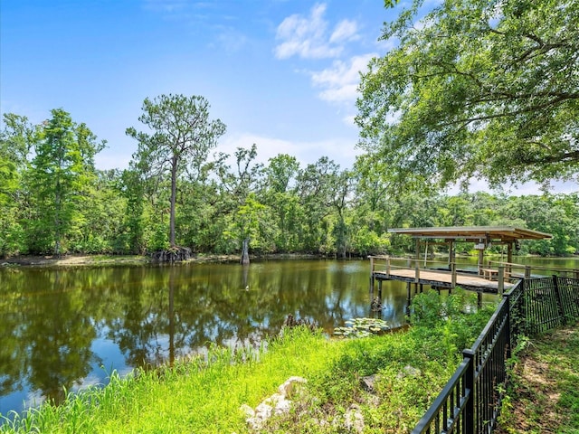 713 Argyle Pl, Temple Terrace, FL 33617 - dock with a water view