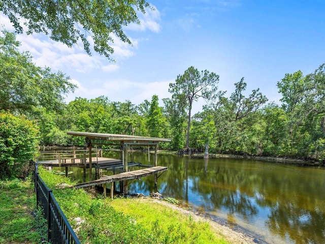 713 Argyle Pl, Temple Terrace, FL 33617 - dock featuring a water view and a forest view