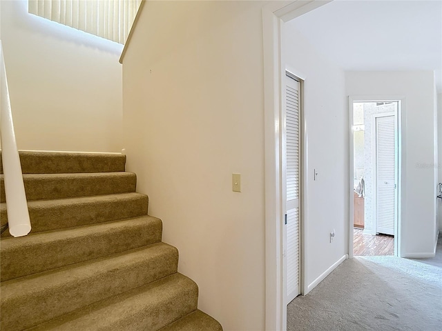 1906 White Cedar Way, Brandon, FL 33511 - stairway with carpet flooring and baseboards