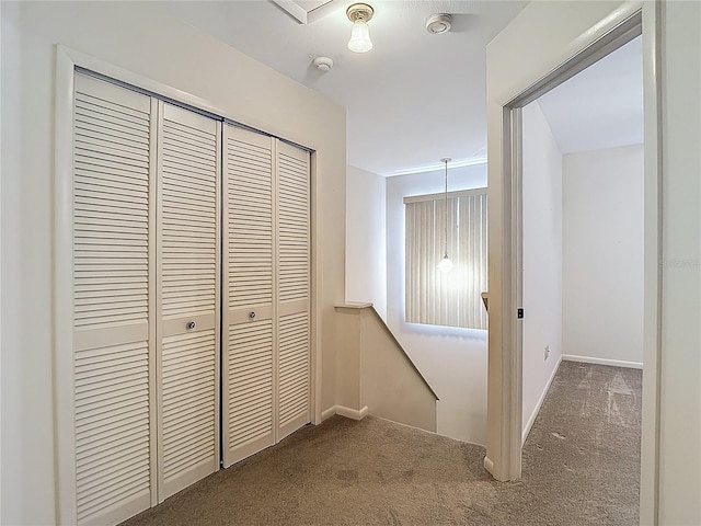 1906 White Cedar Way, Brandon, FL 33511 - corridor with dark carpet and an upstairs landing