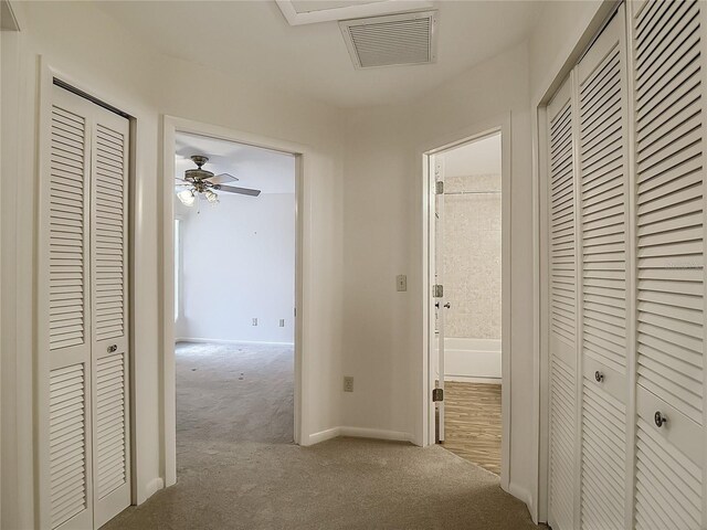 1906 White Cedar Way, Brandon, FL 33511 - hall with carpet flooring and baseboards