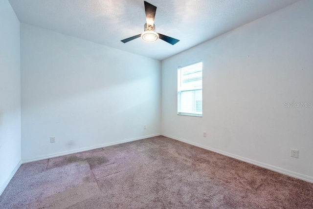 11035 Sage Canyon Dr, Riverview, FL 33578 - carpeted spare room featuring a ceiling fan and baseboards