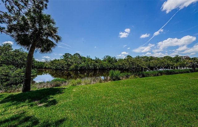 1729 Seascape Cir Unit 102, Tarpon Springs, FL 34689 - view of green lawn featuring a water view