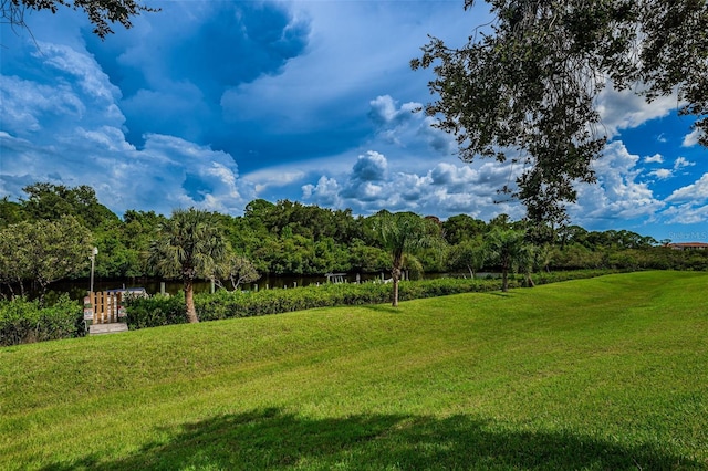 1729 Seascape Cir Unit 102, Tarpon Springs, FL 34689 - view of green lawn