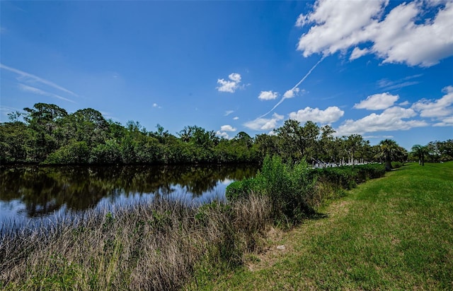 1729 Seascape Cir Unit 102, Tarpon Springs, FL 34689 - water view