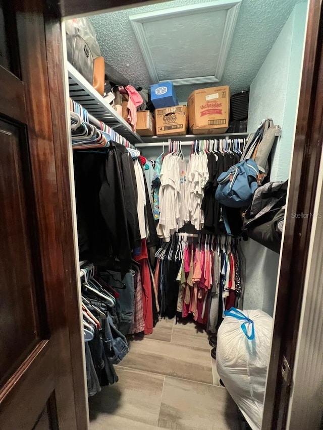 6531 Seaview Blvd, Hudson, FL 34667 - walk in closet with attic access and wood finished floors
