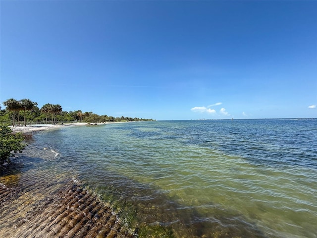 water view