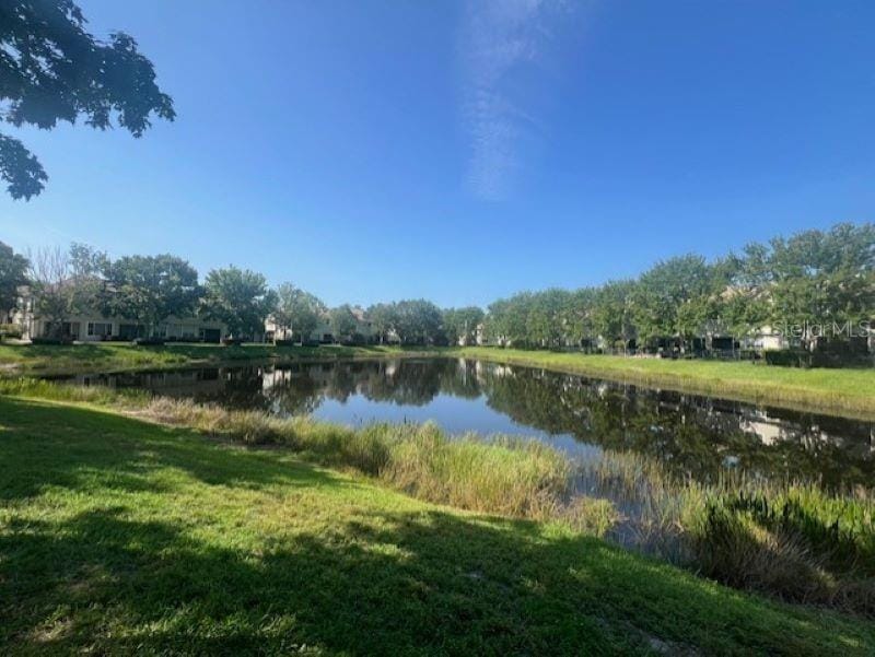 14618 Mirabelle Vista Cir, Tampa, FL 33626 - photo 2