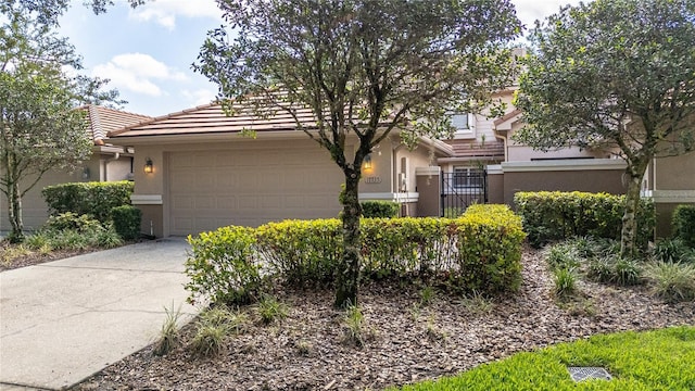 17735 Oak Bridge St, Tampa, FL 33647 - photo 1