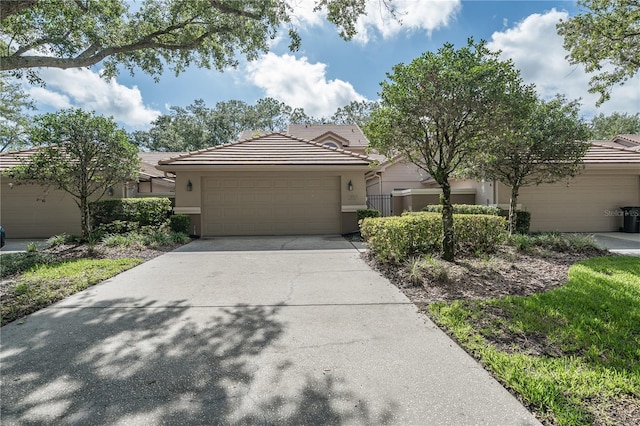 17735 Oak Bridge St, Tampa, FL 33647 - photo 5