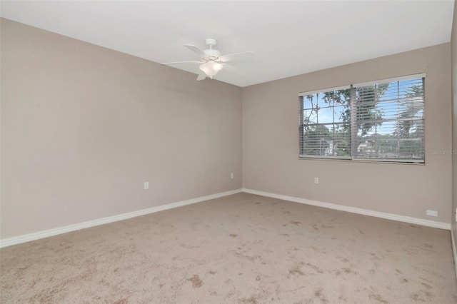 10330 Carrollwood Ln Unit 95, Tampa, FL 33618 - photo 22