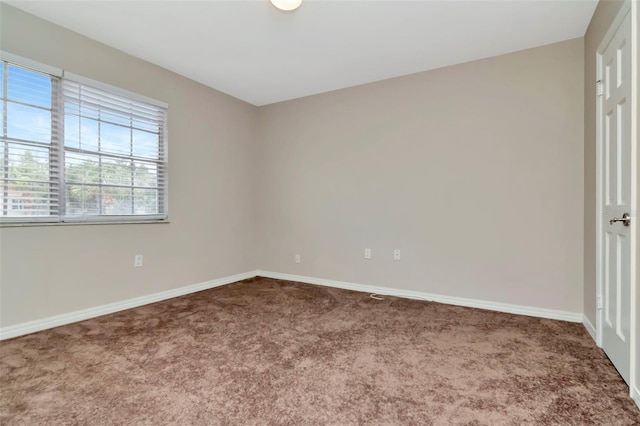 10330 Carrollwood Ln Unit 95, Tampa, FL 33618 - photo 29