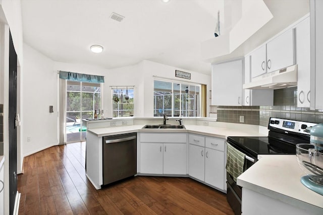 2454 Shadecrest Rd, Land O Lakes, FL 34639 - kitchen with electric range, under cabinet range hood, stainless steel dishwasher, and light countertops