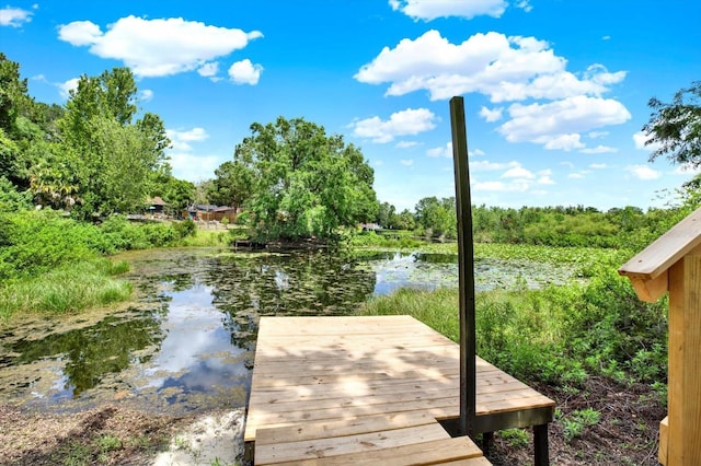 2454 Shadecrest Rd, Land O Lakes, FL 34639 - dock featuring a water view