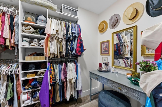 1313 W Carissa Ct, Tampa, FL 33604 - view of walk in closet