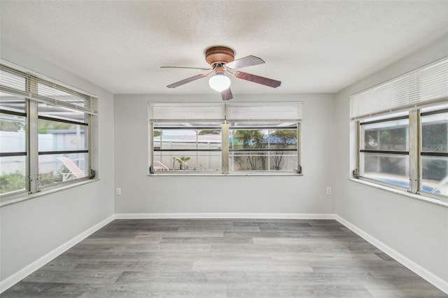 9011 Hunt Club Ln, Port Richey, FL 34668 - photo 16
