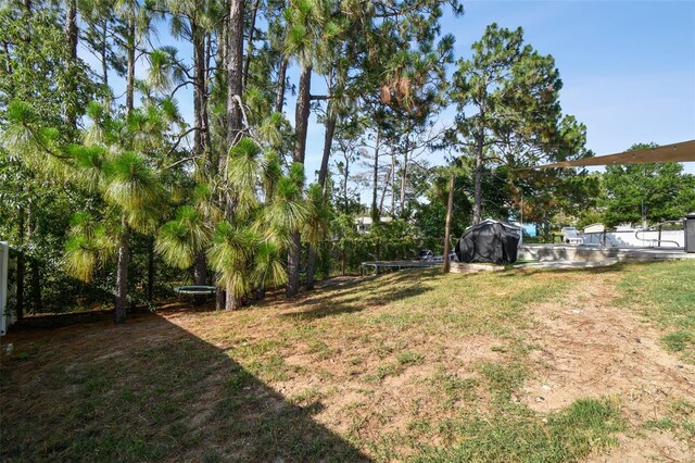 13441 Barlington St, Spring Hill, FL 34609 - photo 53