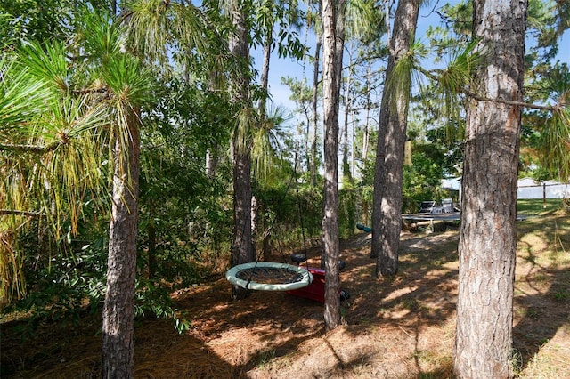 13441 Barlington St, Spring Hill, FL 34609 - photo 54